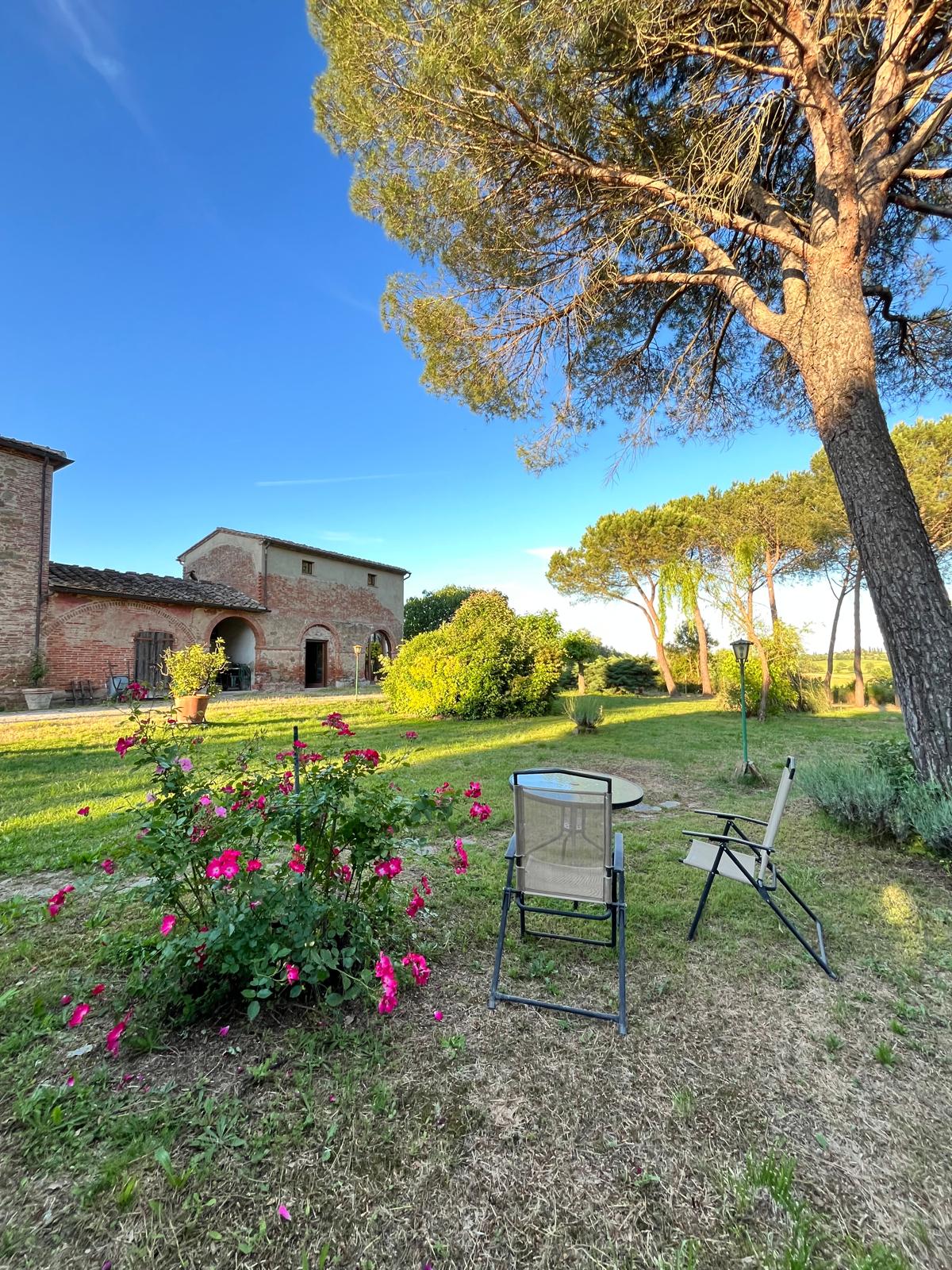Due sedie sotto gli alberi nel giardino